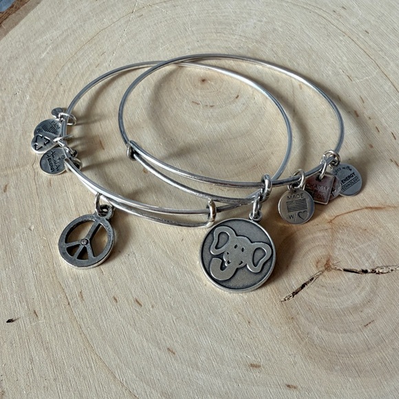Set of 2 Alex and Ani Silver Tone Charm Bracelets - Picture 1 of 6